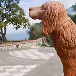 卡罗莱纳州套房别墅旅馆 4*