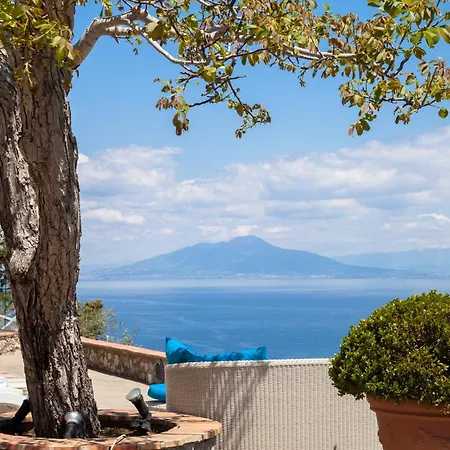 Carolina ゲストハウス